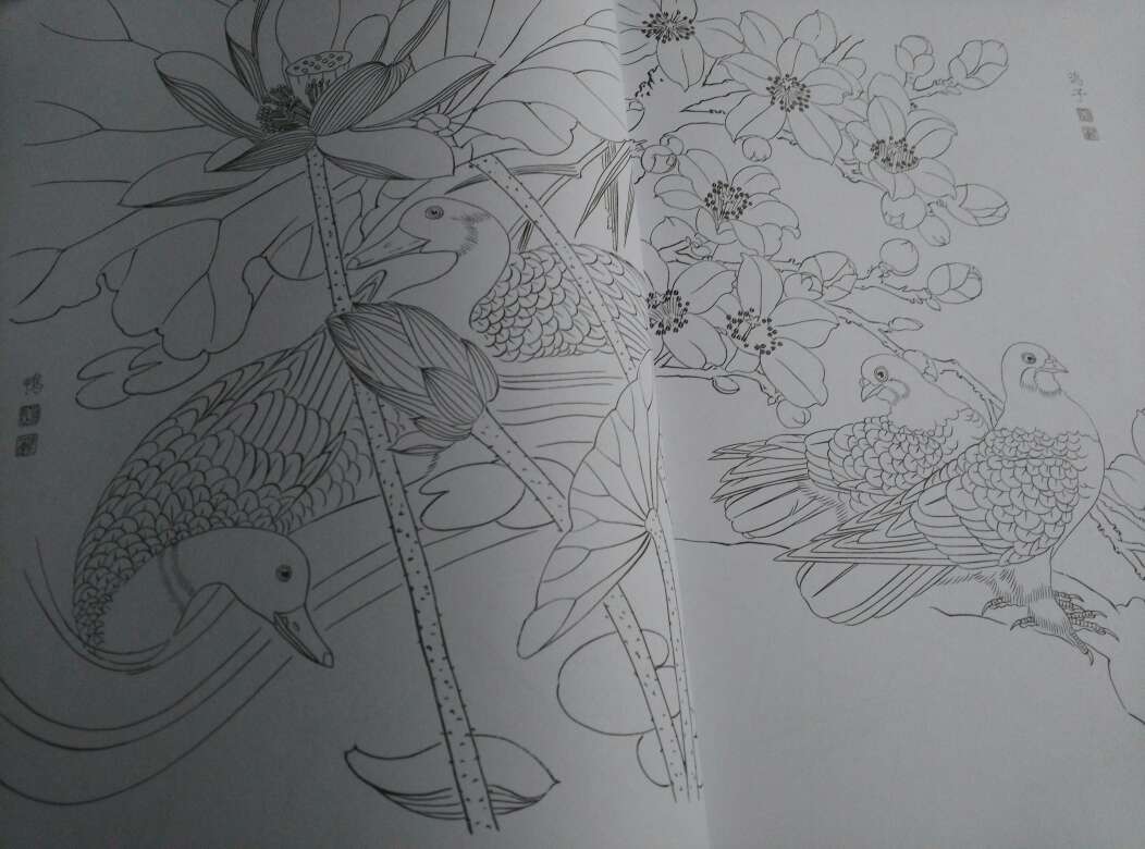 起笔落笔，花和鸟虫每个细节都描绘的很详尽。