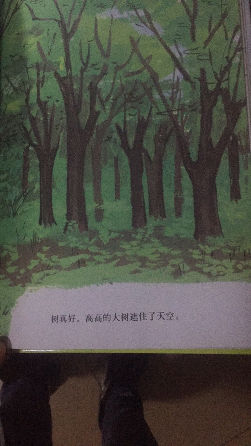 这本绘本画面优美，内容丰富，把树的作用都说出来了，还告诉我们要自己多种树。