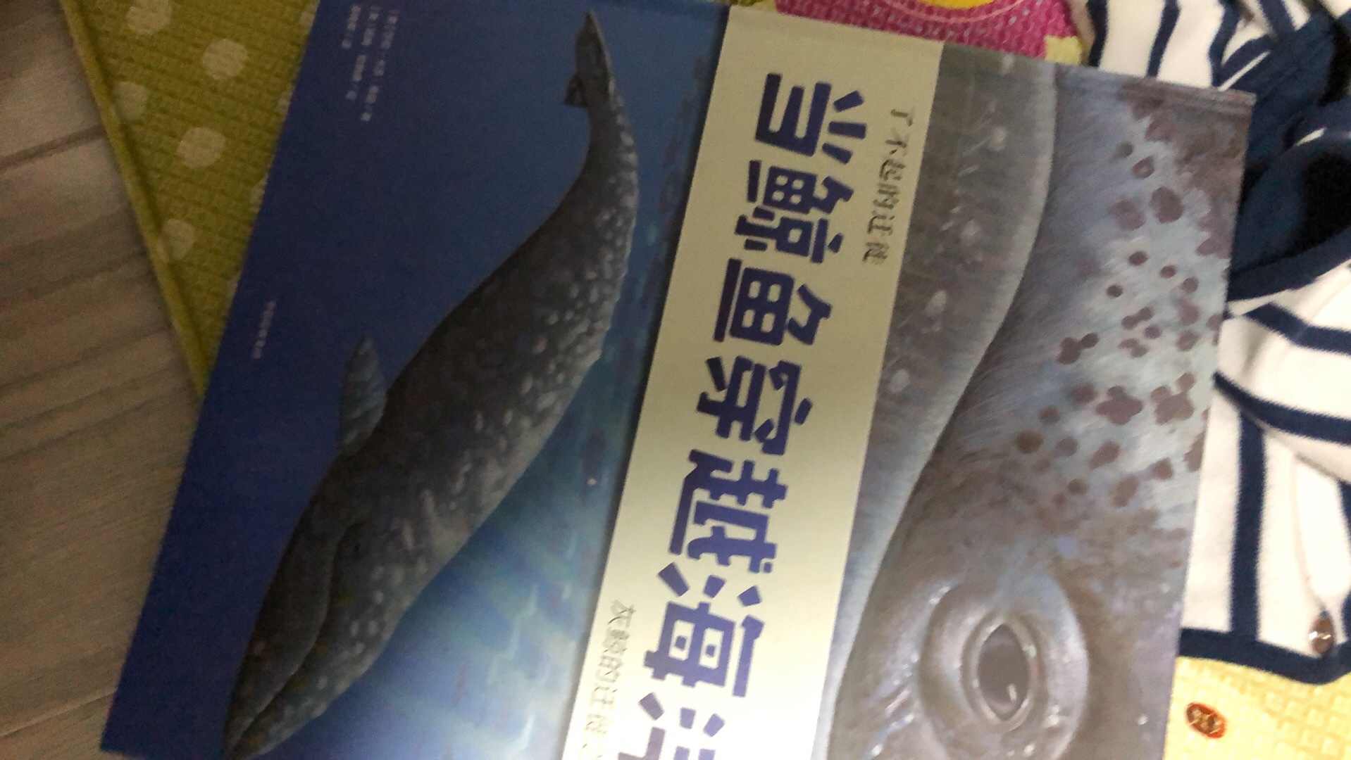 一本关于鲸鱼迁徙的书娃两岁半还蛮喜欢看的呢，满意