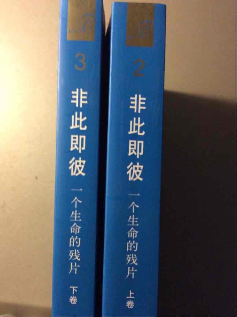 上下两册，终于收齐了一套《克尔凯郭尔文集》，豆瓣书评下册是江绪林写的。