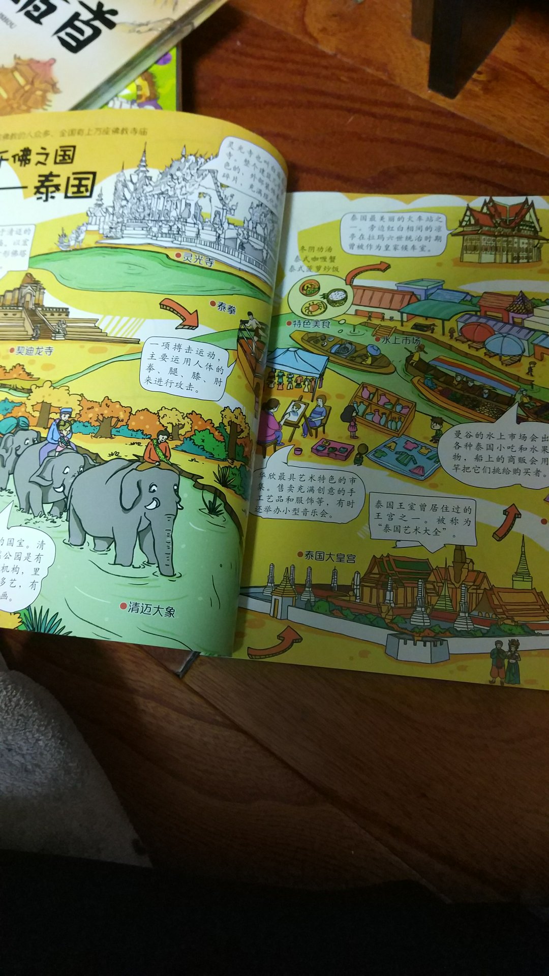 很好玩的一本地理书，里面文字少，图片多。。很容易吸引宝宝的注意力。。很好的一本幼儿启蒙书籍