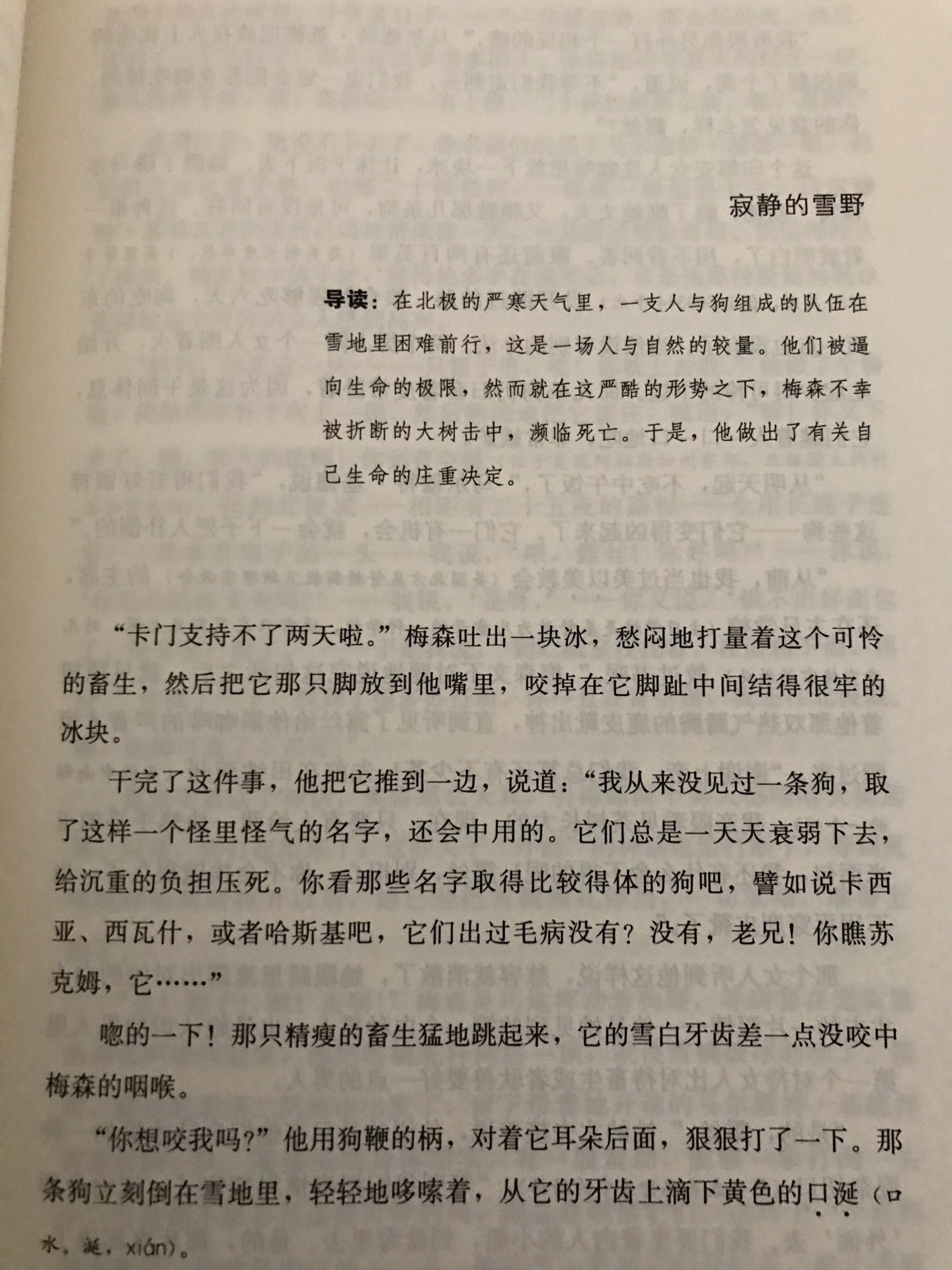 确认过眼神，这套文学译丛纸张质量好，翻译应该也不错，毕竟商务的，还有导读，值得收藏！