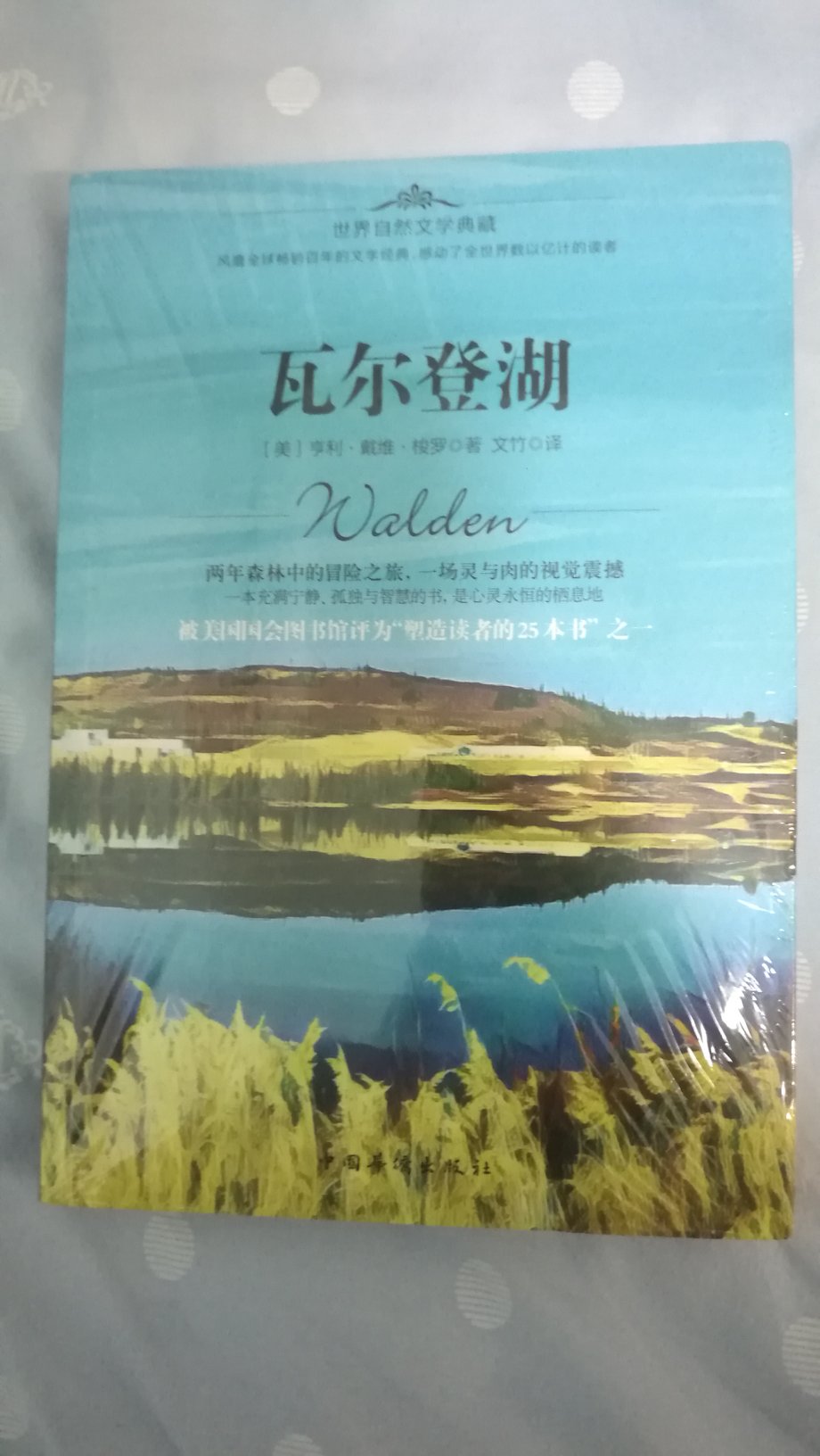 美国著名评论家谢尔曼·保罗评价说：《瓦尔登湖》的伟大之处就在于梭罗能够通过艺术来实现自己决意要做的事业。通过创造一个有机的形式，他使自己的决定获得了新生；通过有意识的努力，他重新获得了一种成熟的恬静，如果说那不是黄金年龄的清纯狂喜的话。