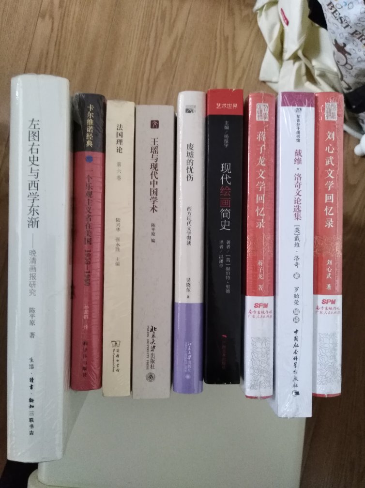 吴晓东的书还是很值得好好看看的，文本解读的功力非常好。