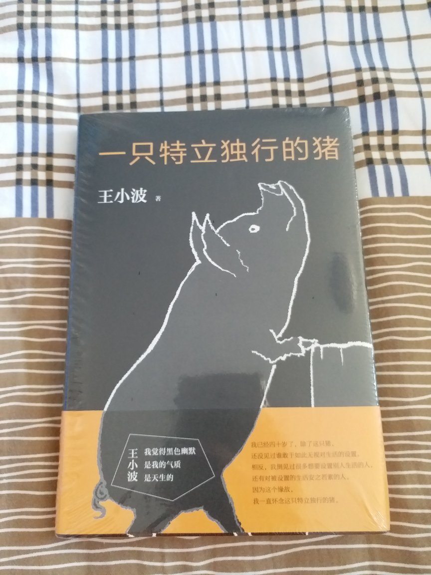 王小波的书还是不错的，这本书名吸引了我，买来看看。这回一点儿折痕都没有，很满意。