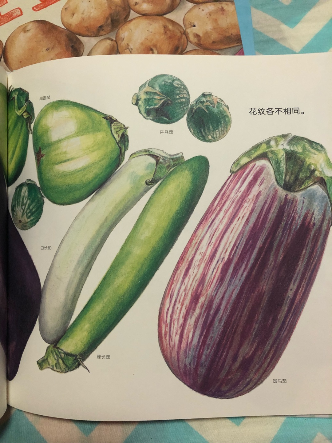 非常好的一本介绍蔬菜的绘本孩子超爱