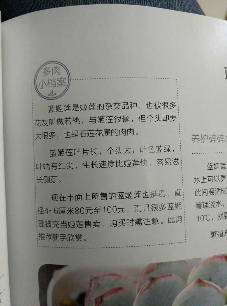 买了一堆多肉的书，我觉得这一本最好！100种多肉小档案，养护碎碎念，加图片和新手难易度。超级喜欢！