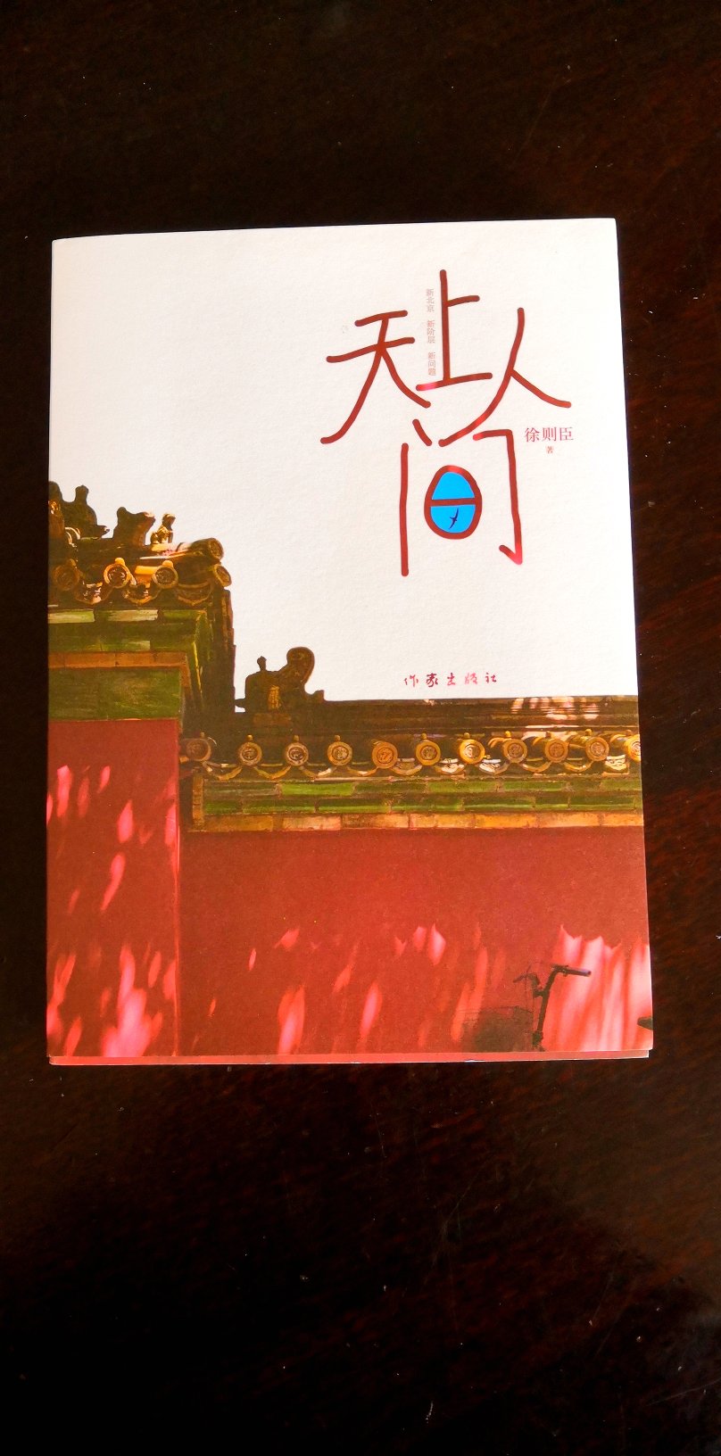 正版图书，京漂一族，道不尽的酸甜苦辣，作者写得好