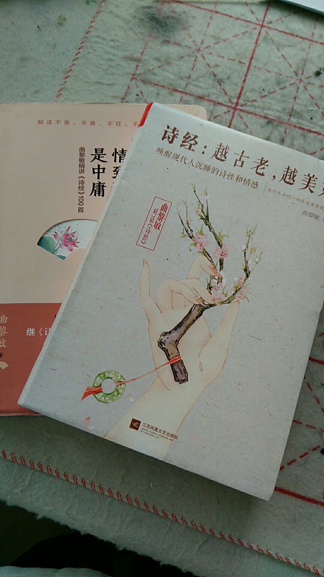 中华民族是被诗经礼教浸润的民族，每个人都向往诗意，礼遇文字，如作者，如看到此书的我们。