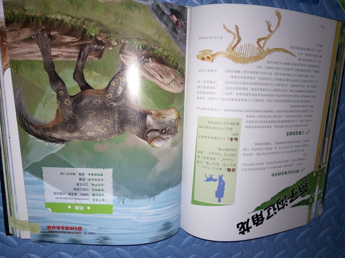 孩子很喜欢恐龙，所以买本百科看看 科普科普知识