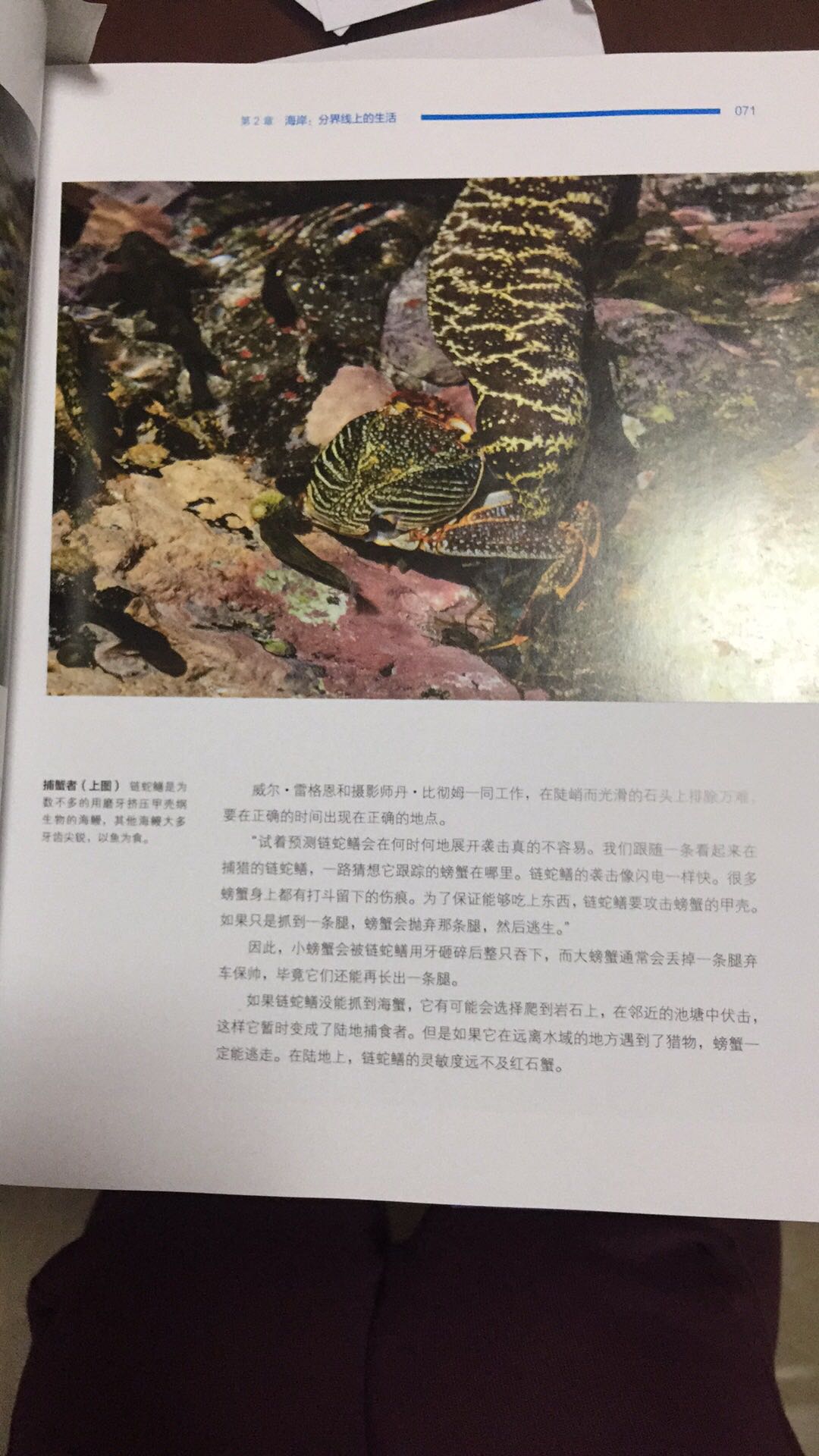 孩子没事翻翻，可以反复看，画面真的美。之前公号有团，没舍得，这次趁活动入了