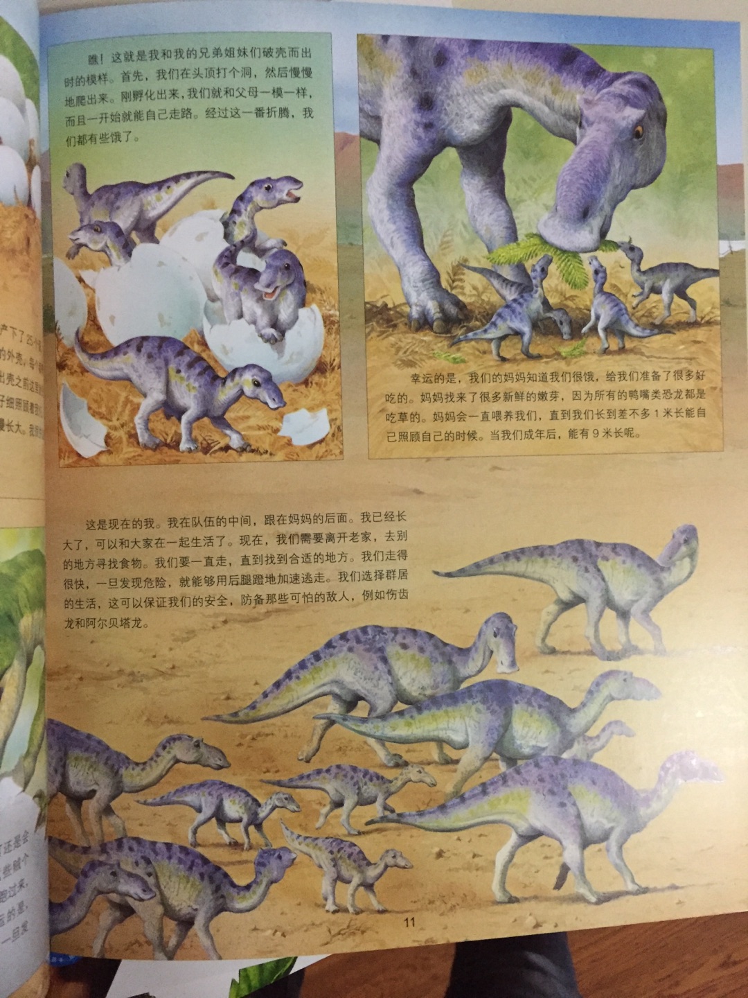 老师推荐的书，分为四个内容，海洋生物、昆虫、动物、恐龙，类似简单的十万个为什么。