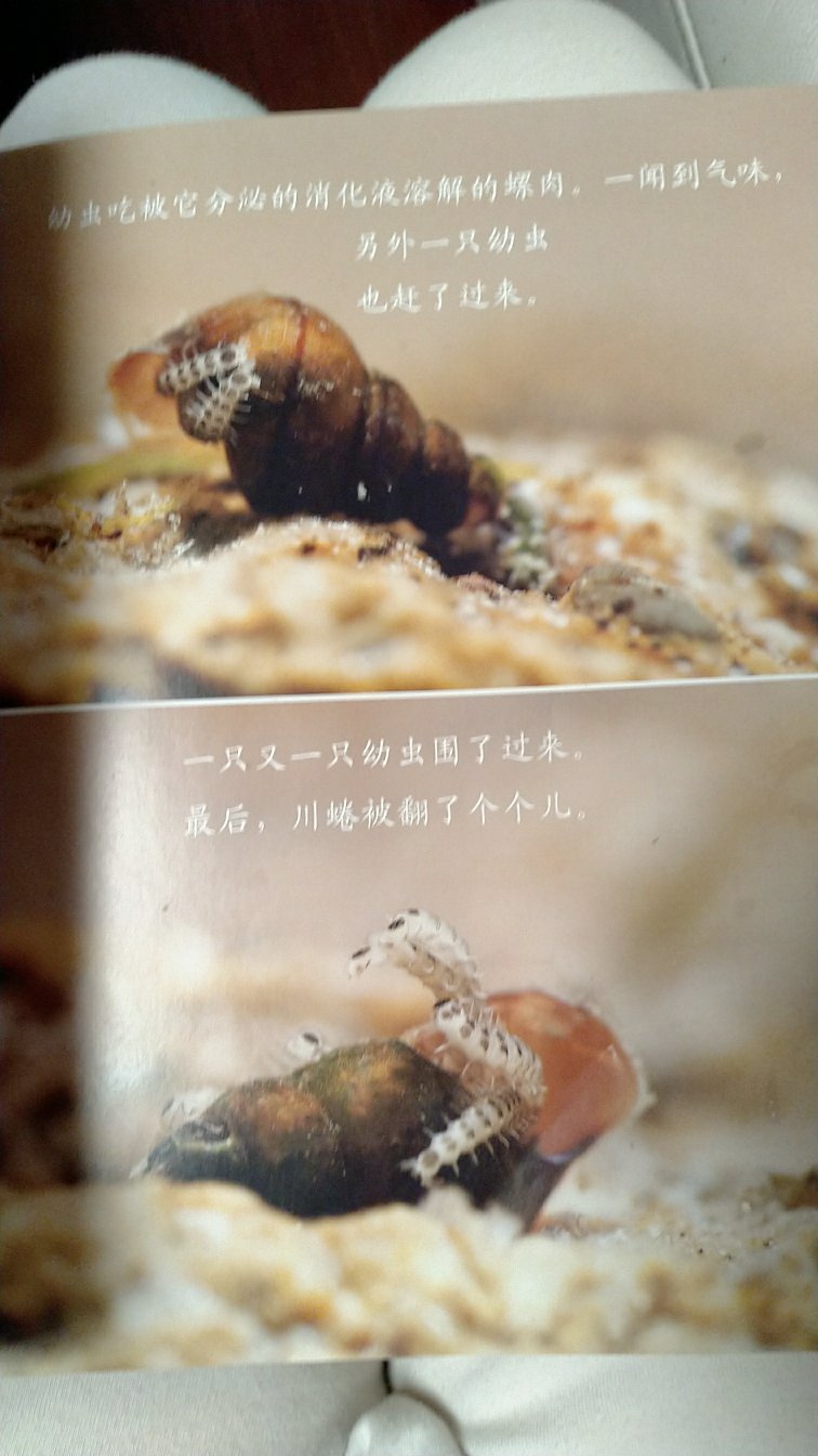 这套书不错，图片都是真实的，喜欢动物昆虫的宝宝很爱看哦。