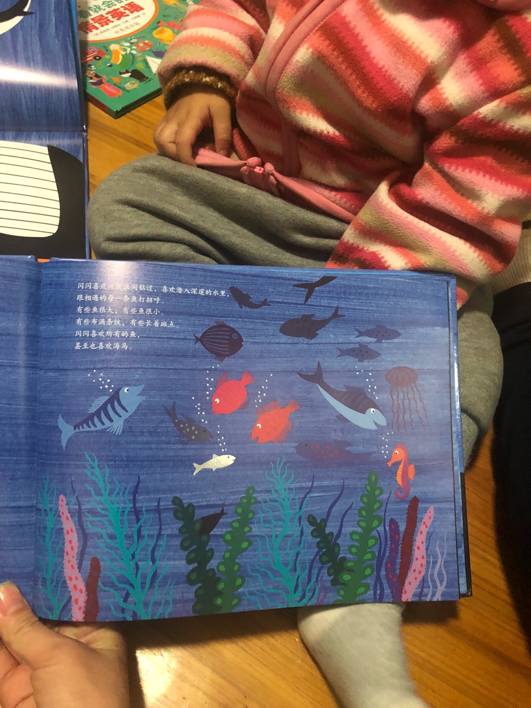 小银鱼，孩子很喜欢的一套书，质量不错，画风也很可爱