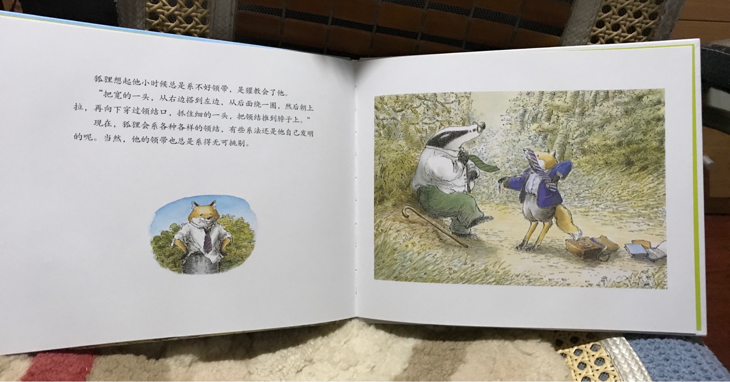 塑封精装，印刷、用纸都很好，画面委婉感人，适合小孩。