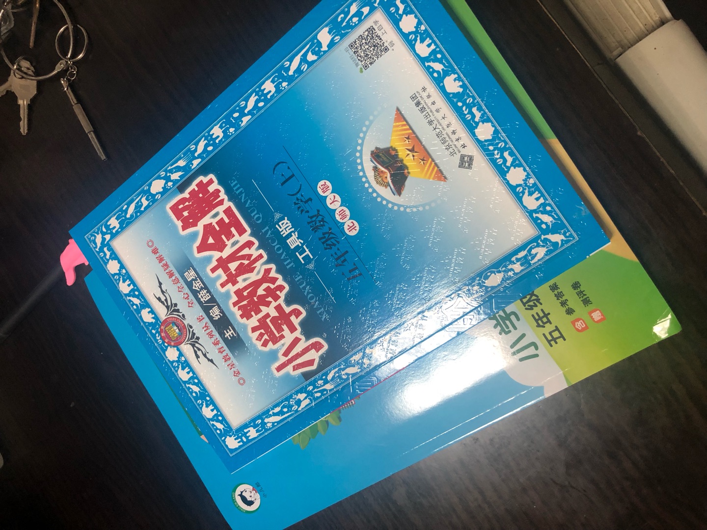 速度太快了，书也是正版的没有错，早上下单，晚上孩子回去就可以用了