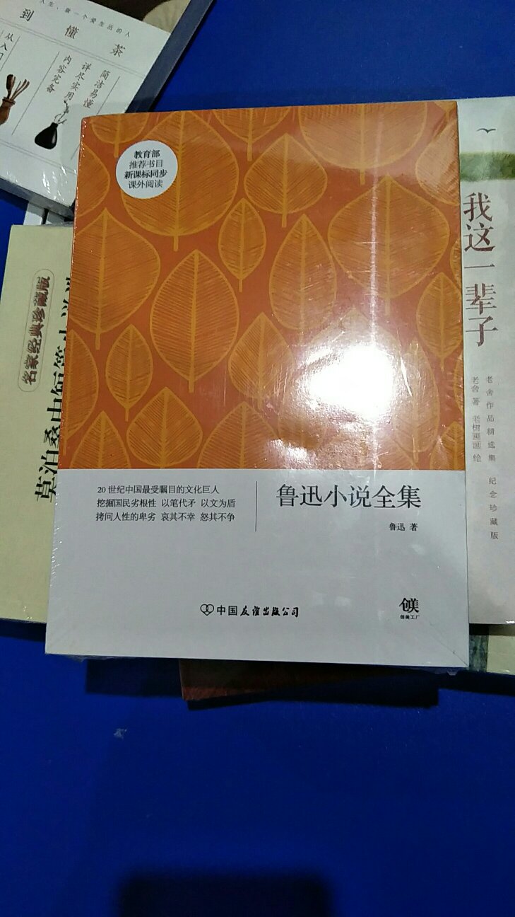 读书的时代就很喜欢他的作品，今天终于到了！虽然箱子破了个口子，但是里面的书一点都没有损害，快递，不错！！