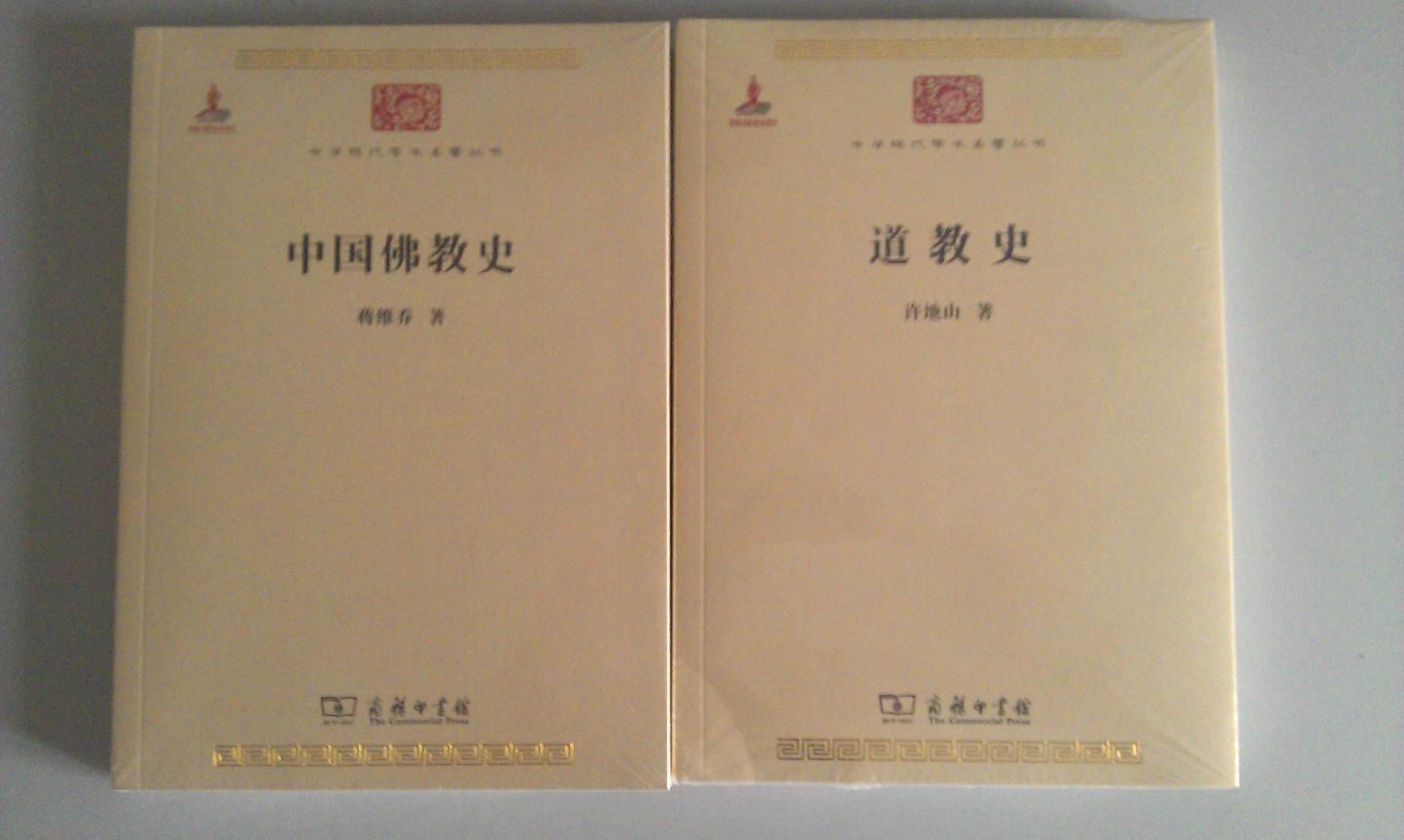 　本书为中国首部以近代方法写就的佛教简史。作者认为中国于佛教义理的方面有特别发达的学问，只是因不注重考史而影响了深研义理。由此可见本书为弥补考史之缺而作，它取材于日人境野哲《支那佛教史纲》之宋前部分，增加了订正与增补，叙引用史料丰富，考订认真，对民国后的中国佛教研究产生过极大影响。本书被视为“国人所见首部以近代治史方法撰写的中国佛教简史”，“堪称经典”，“不失为一本了解中国佛教历史的基本读物”，“很有系统的建立了中国佛教史的架构”。