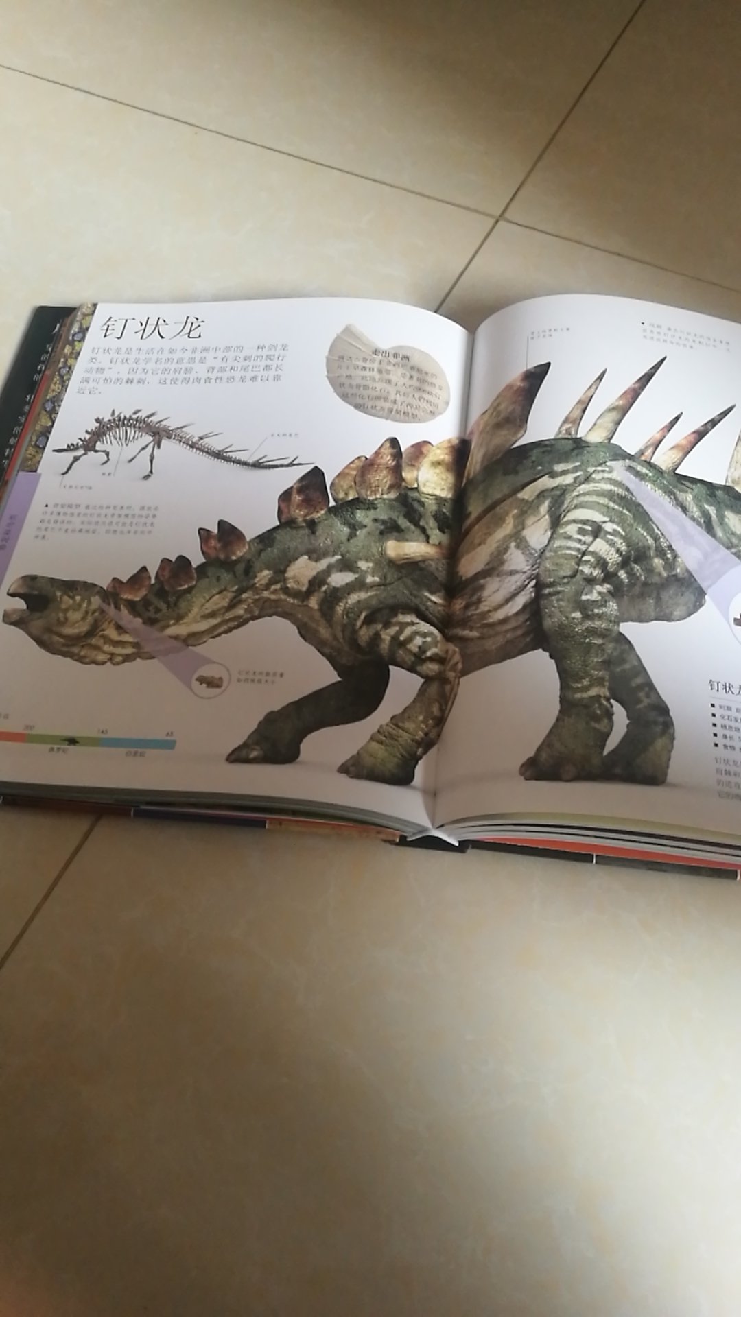 小男孩估计都是恐龙迷吧，儿子对恐龙书和玩具毫无免疫力，前前后后入手好多绘本，所以老母亲下定决心买来这本书，希望他能喜欢