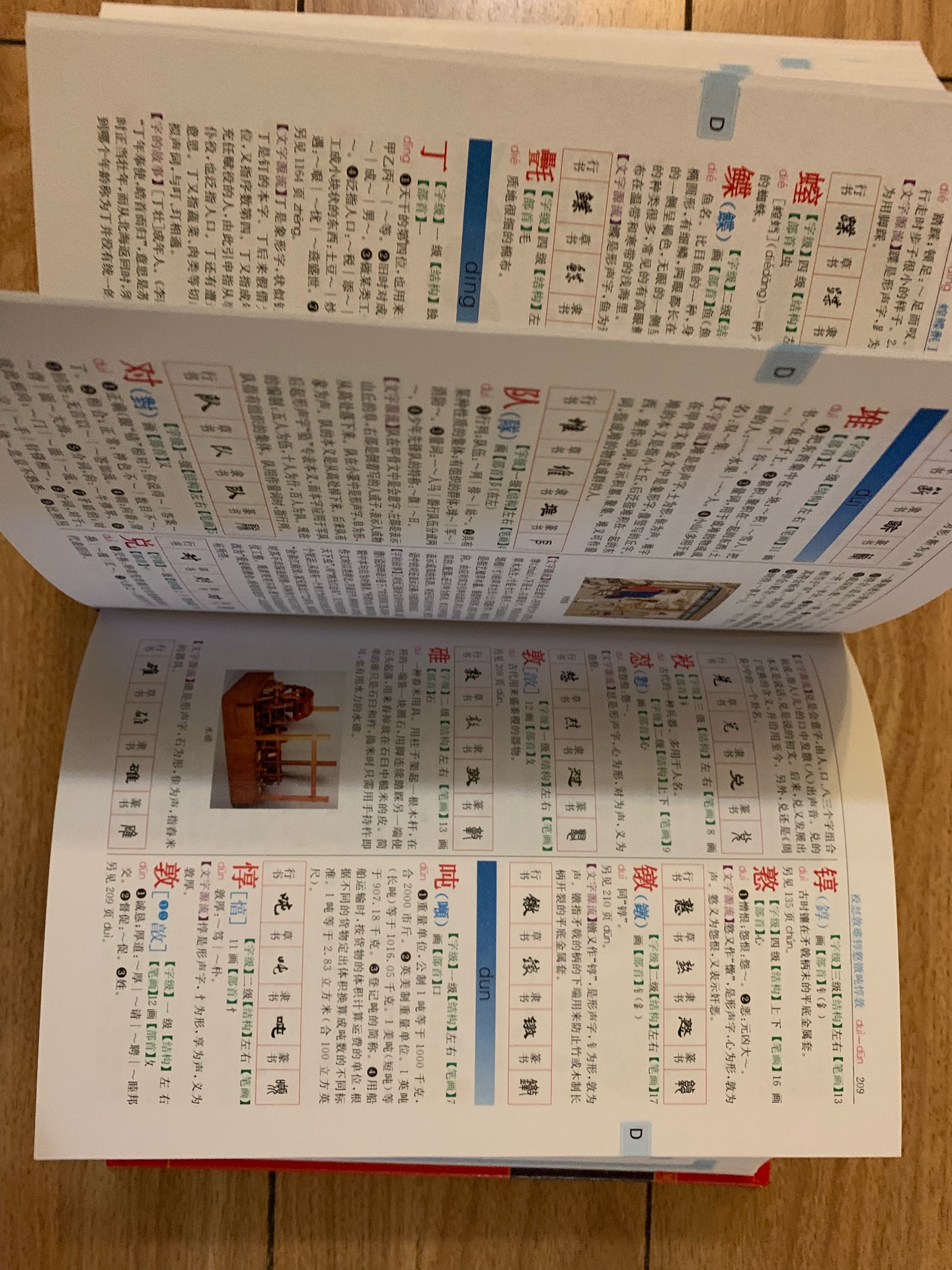 彩页字典啊，很不错，学习工具家庭必备。