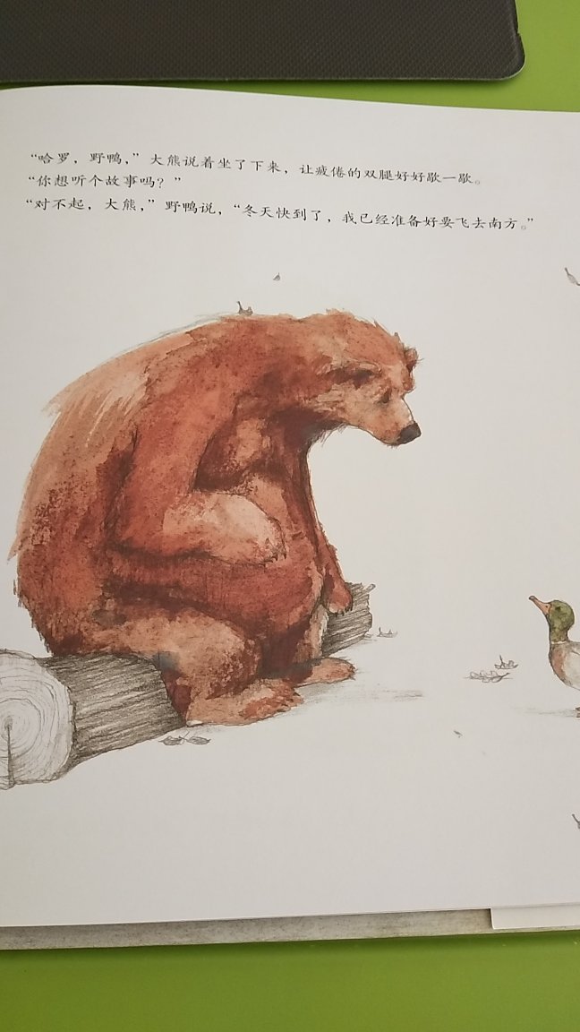 买书时看到了这套关于大熊的书。其它几本没货了，只好先买一本，书里的画很喜欢。