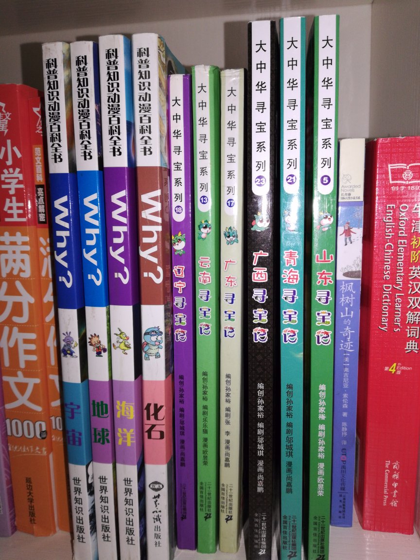 大中华寻宝记系列孩子非常喜欢看，书是正版的。