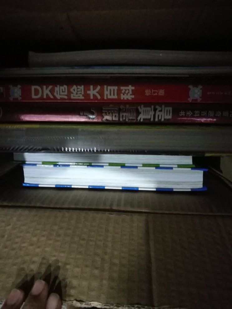 DK收集中，每本都是大部头，精品DK。主要是作为工具书，如果能把这看透彻实属不易。