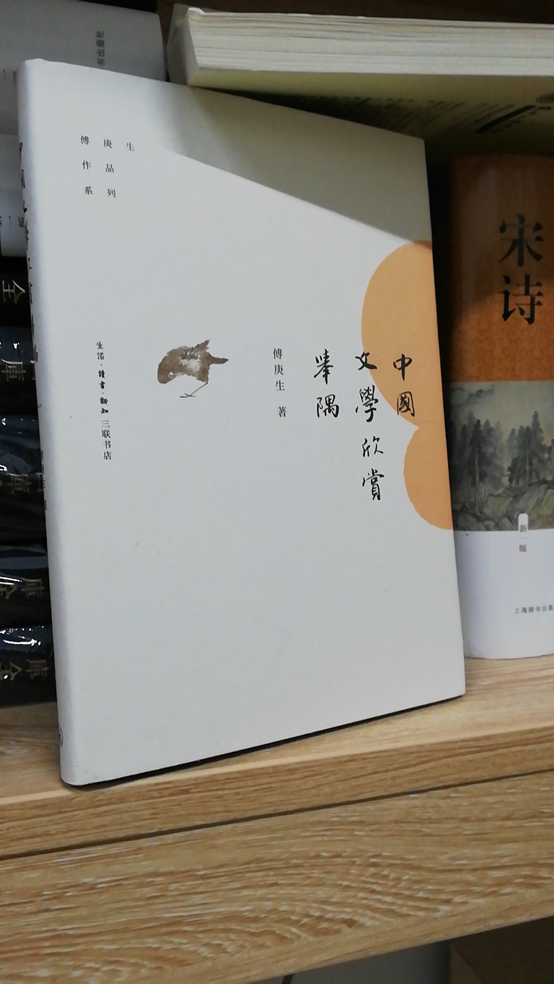 傅先生的书，西大神话，可惜一直没读