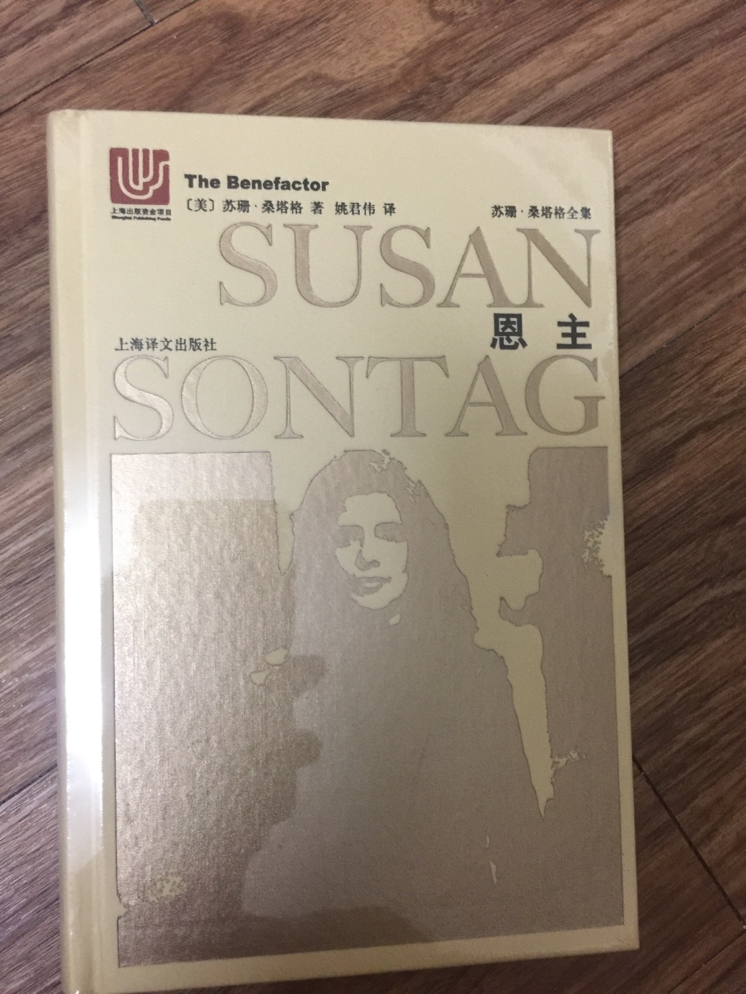 上海译文出版社出版的苏珊·桑塔格全集之《恩主》，苏珊·桑塔格的书很适合女性读者，这次买了一套给我媳妇。32开的硬壳精装，阅读和收藏皆可。