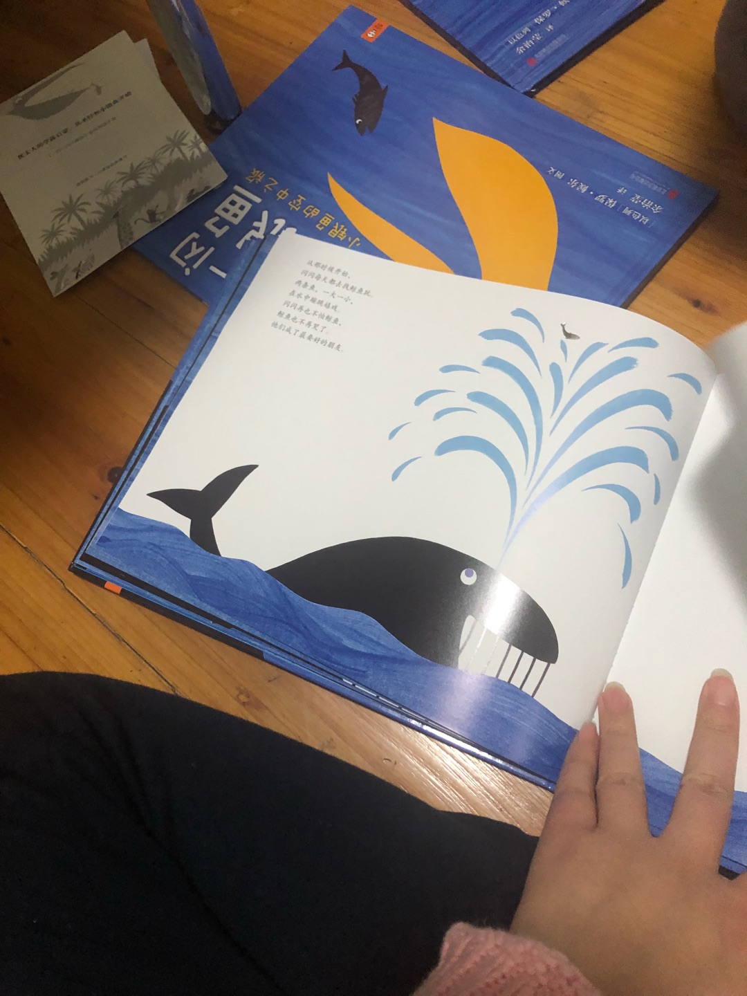 小银鱼，孩子很喜欢的一套书，质量不错，画风也很可爱