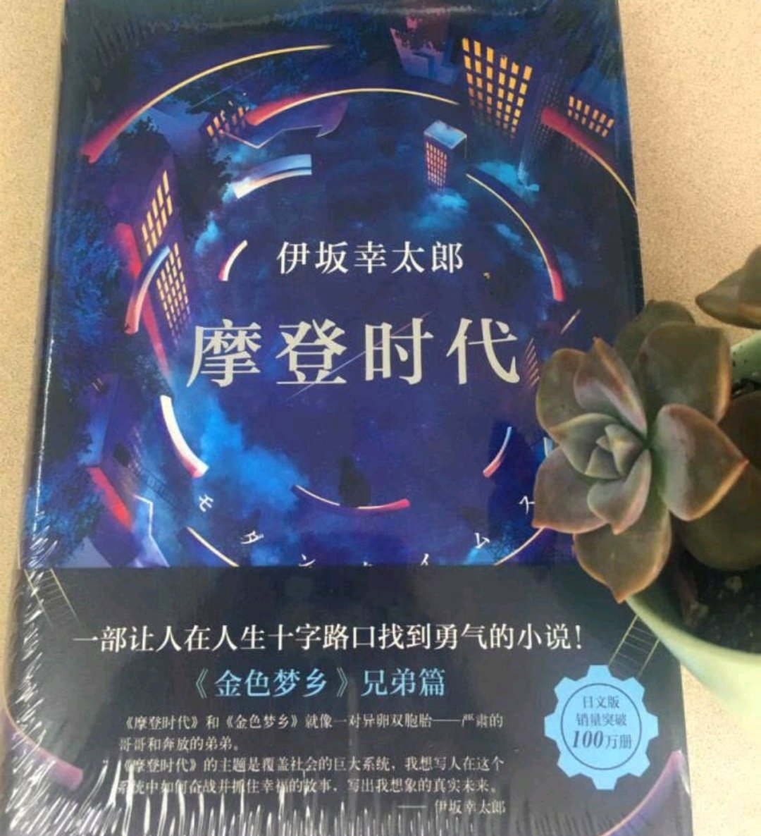这次买了伊坂幸太郎的两本，她的推理小说算是不错的，打算等有空慢慢看。书是正品，包装很精美，物流也快。活动时买了不少书。