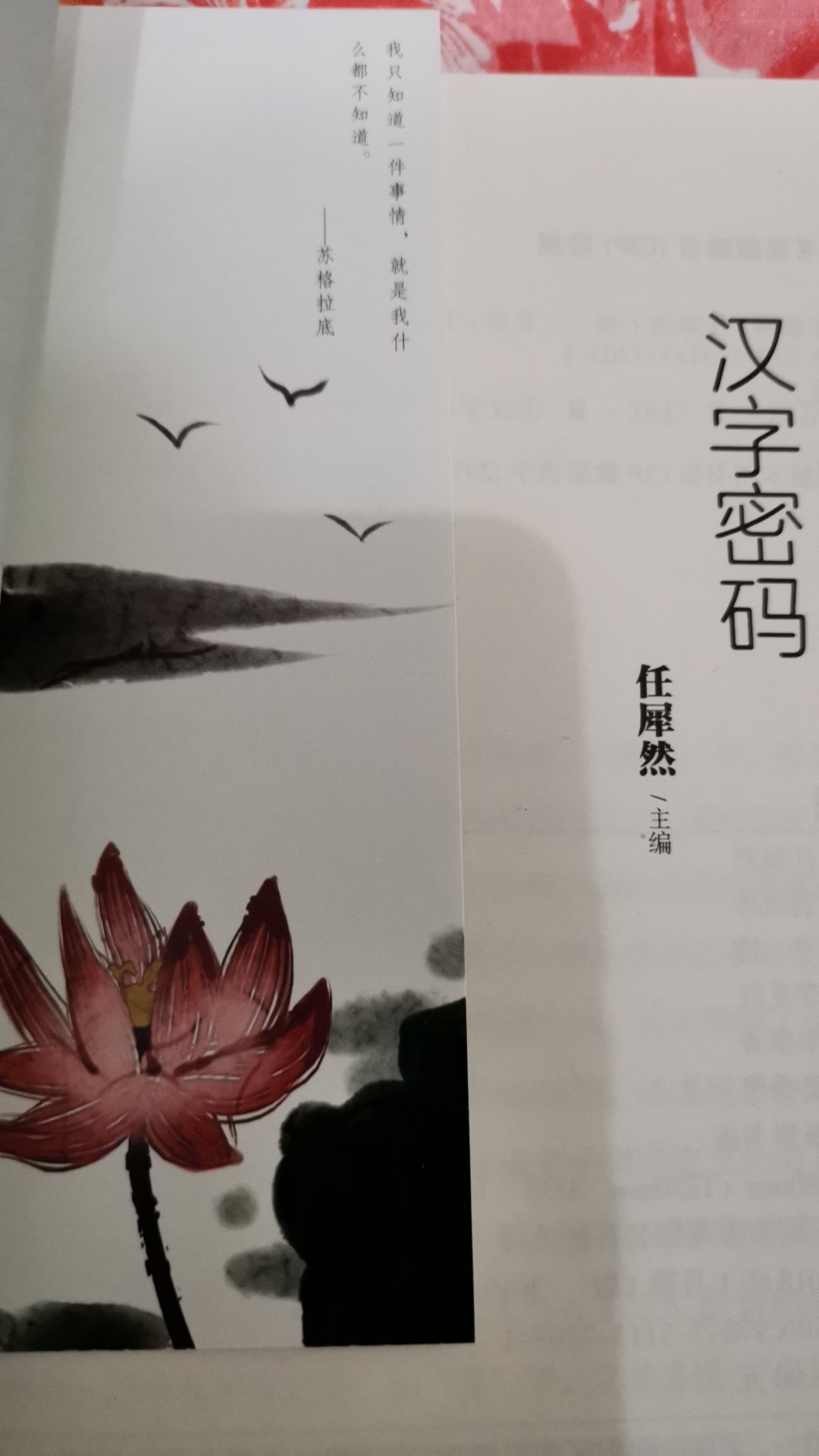 讲述每个字的起源和演变的详细过程，中国汉字的博大精深延绵数千年，本书能更好的让人了解中国的文化。