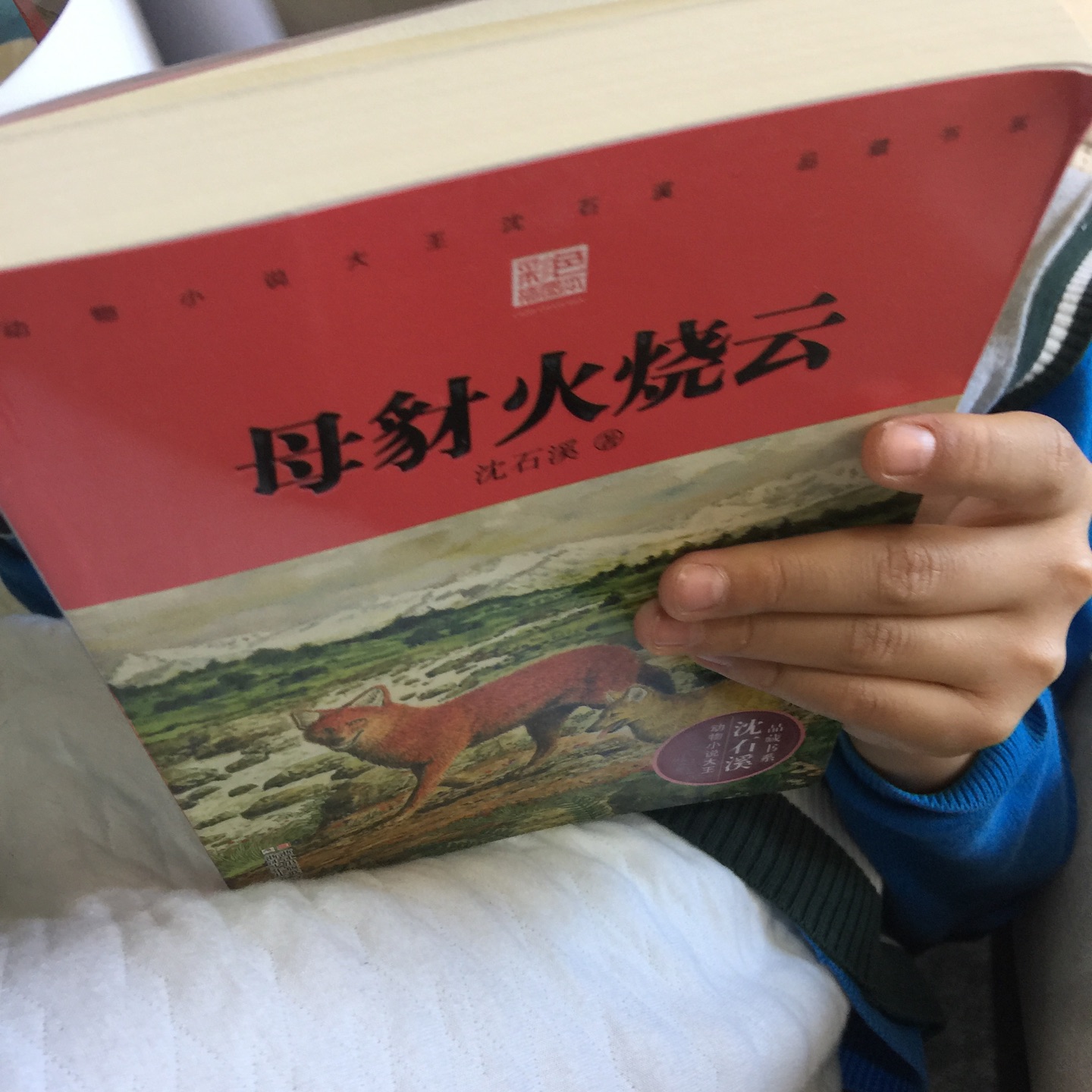 同学推荐的书籍，钟爱沈石溪的动物小说。