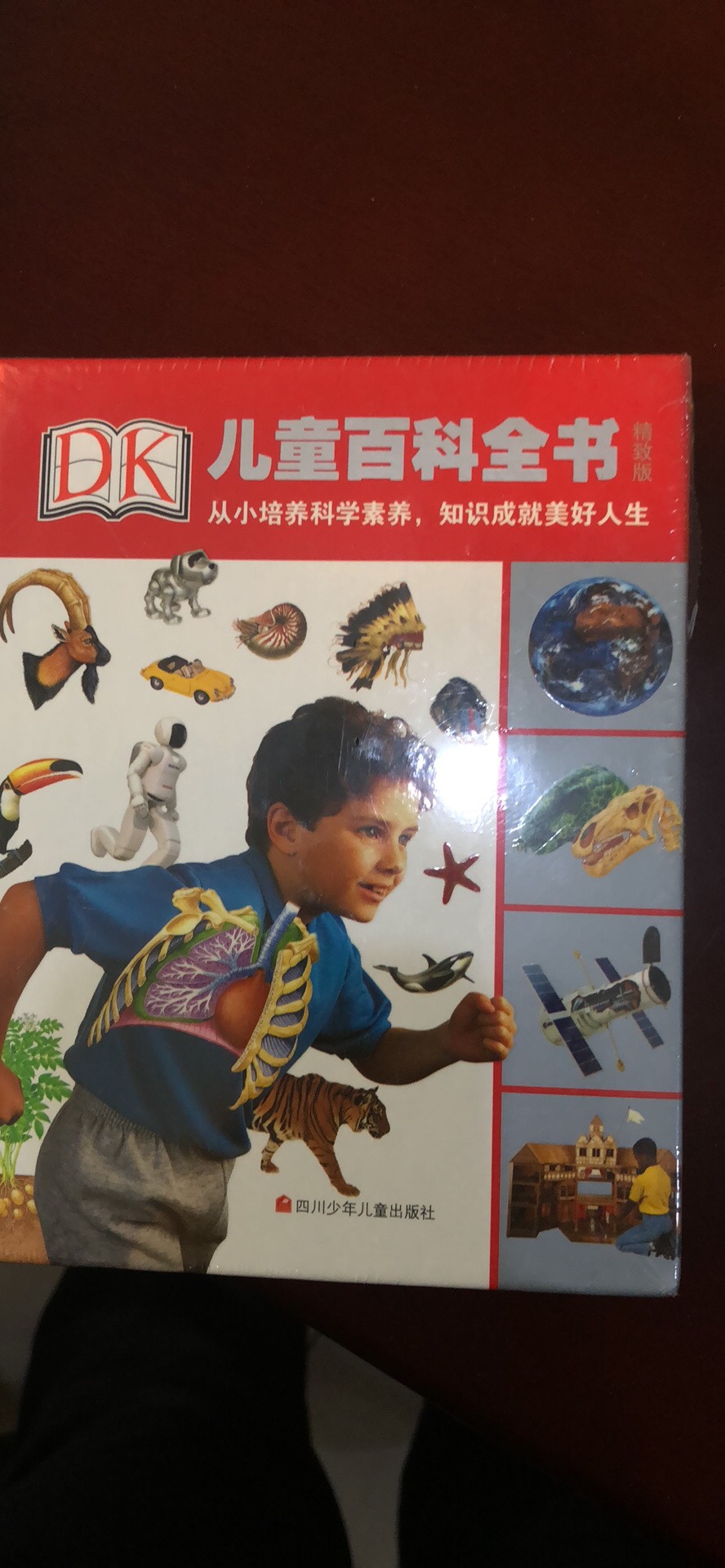 DK的书都很不错，值得购买。孩子还没看，我自己先看一遍，内容不错，适合孩子阅读！推荐！