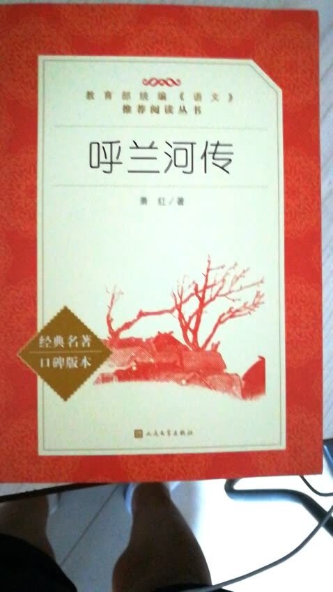  《呼兰河传》是萧红的代表作，亦是20世纪中国文学史上*重要的作品之一，1940年完成于香港。是历经多年漂泊之后的作者，以童年见闻及对于家乡的回忆为题材写作的一部自传式长篇小说。用笔既温馨轻盈，又浑厚凝重。它是抒情小说的典范，以文体的独特、语言的清丽自然为评家所称道，为读者所钟爱。