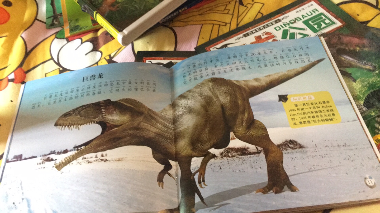 没想到女儿也会喜欢恐龙书，哈哈哈哈