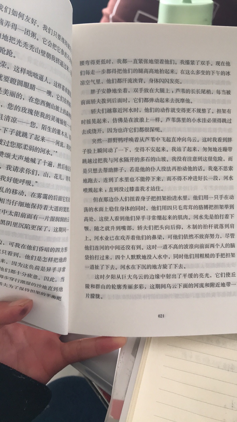 翻译真的不和我心意，同买的还有双城记，也是中国友谊出版公司的，翻译的我也不喜欢。