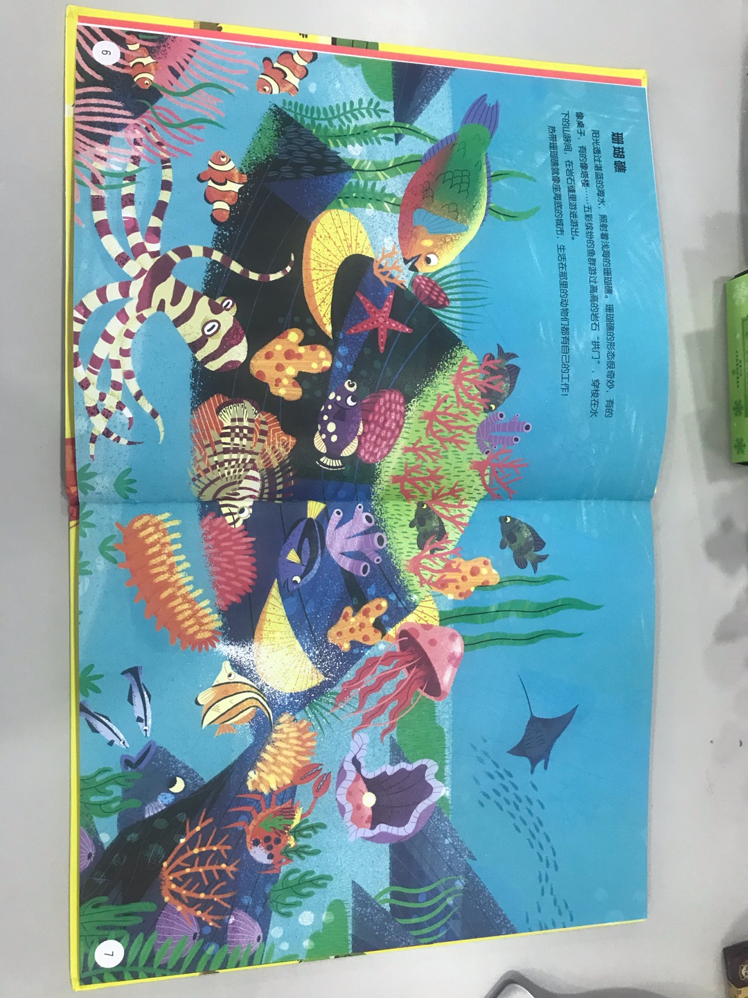 开本很大 很有分量的一本书，画风可爱活泼 颜色亮丽，内容新颖 分主题介绍动物，孩子特别喜欢！