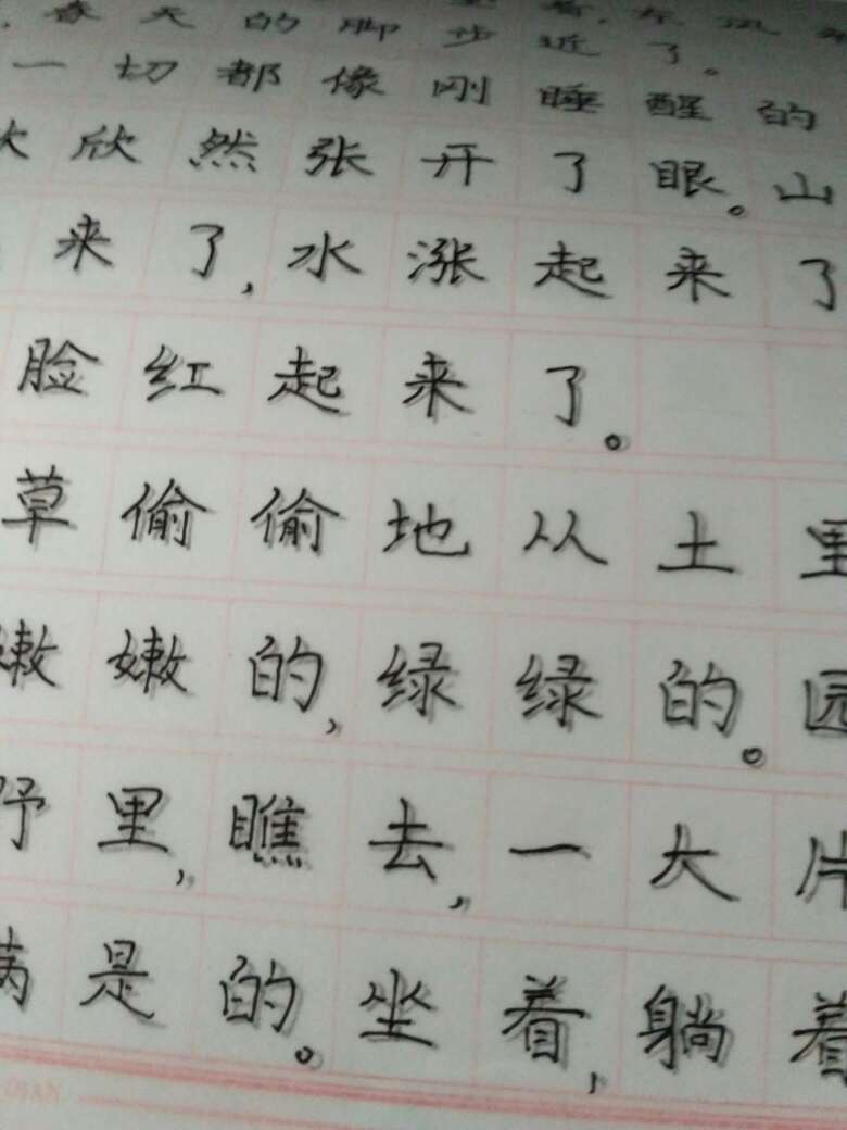 快递速度很快，字帖也行