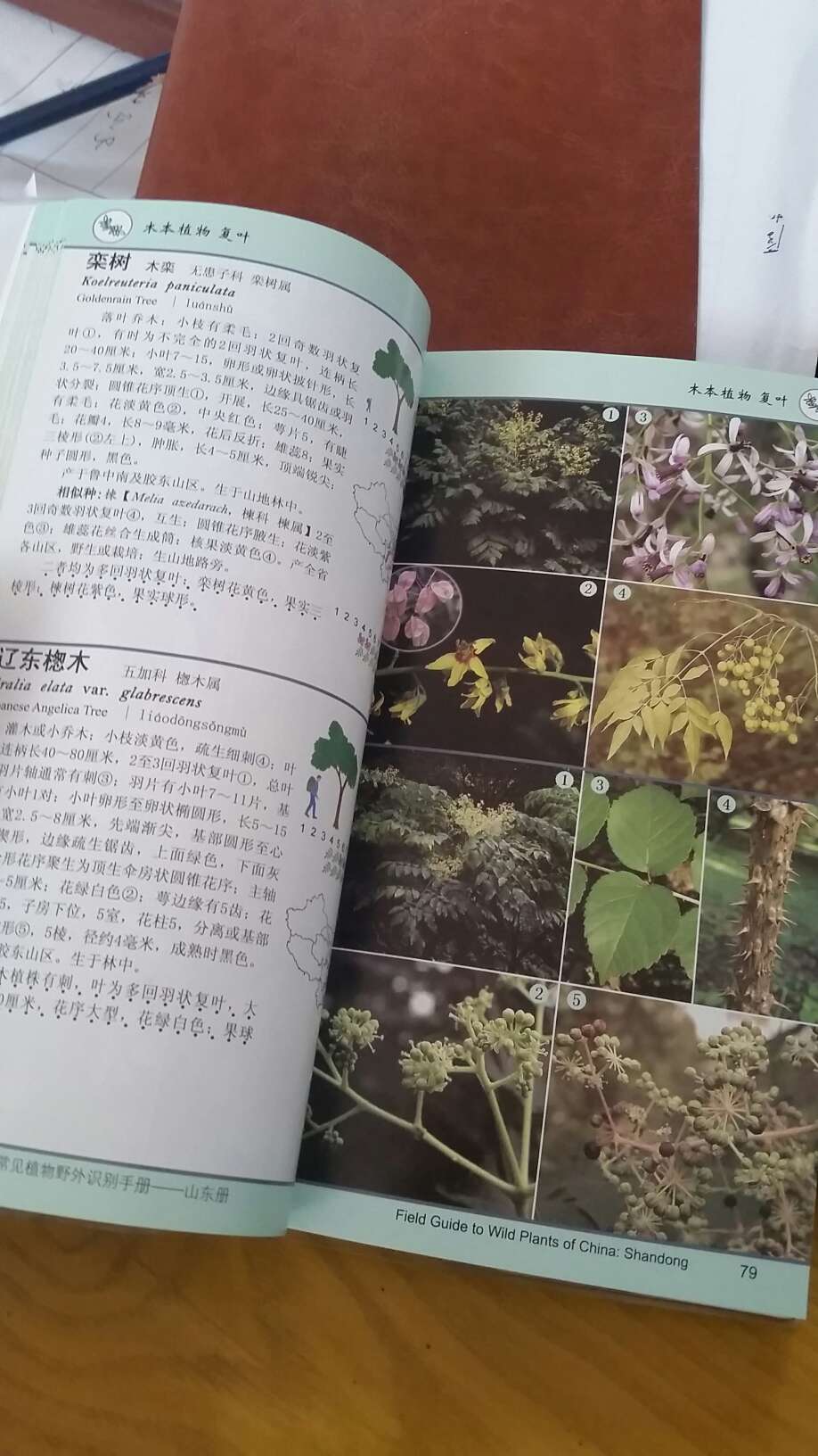 这本书不错，没有发现错误，专业！不像一些植物类书，常识性错误一大片。不过我觉得这本书适合业余的植物爱好者，这种分类方式看着不太习惯，还是按科属分类看着舒服一点，再就是种类还是有点少，总共收集了700余种植物，这是山东植物一半的量，很多植物查不到，不过这个工作量也是不小了，像作者致敬！