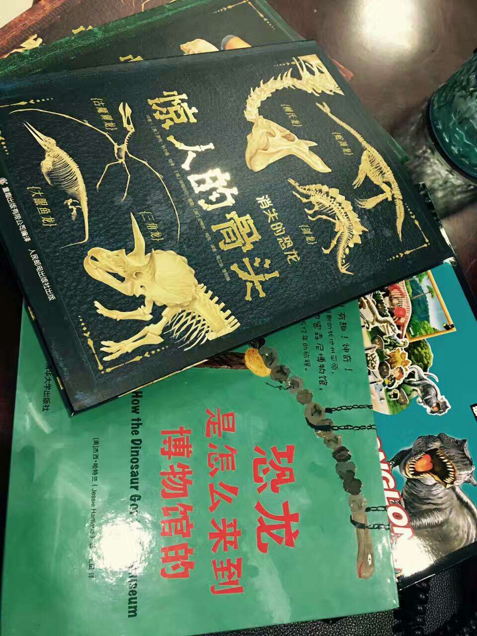 小朋友去了博物馆，对恐龙骨颇有兴趣，买几本书增知识，一起学习学习