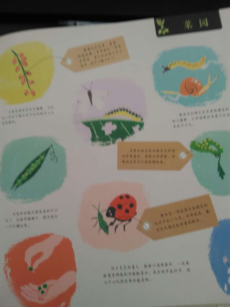 非常美的一本画册。分为春夏秋冬四个季节，每个季节都有农场，花园，街道等画面，可以对比每个季节的变化。赠送的卡片也非常漂亮。不过很多小虫子有出现名字但是我却分辨不出来，还需要更多的学习。