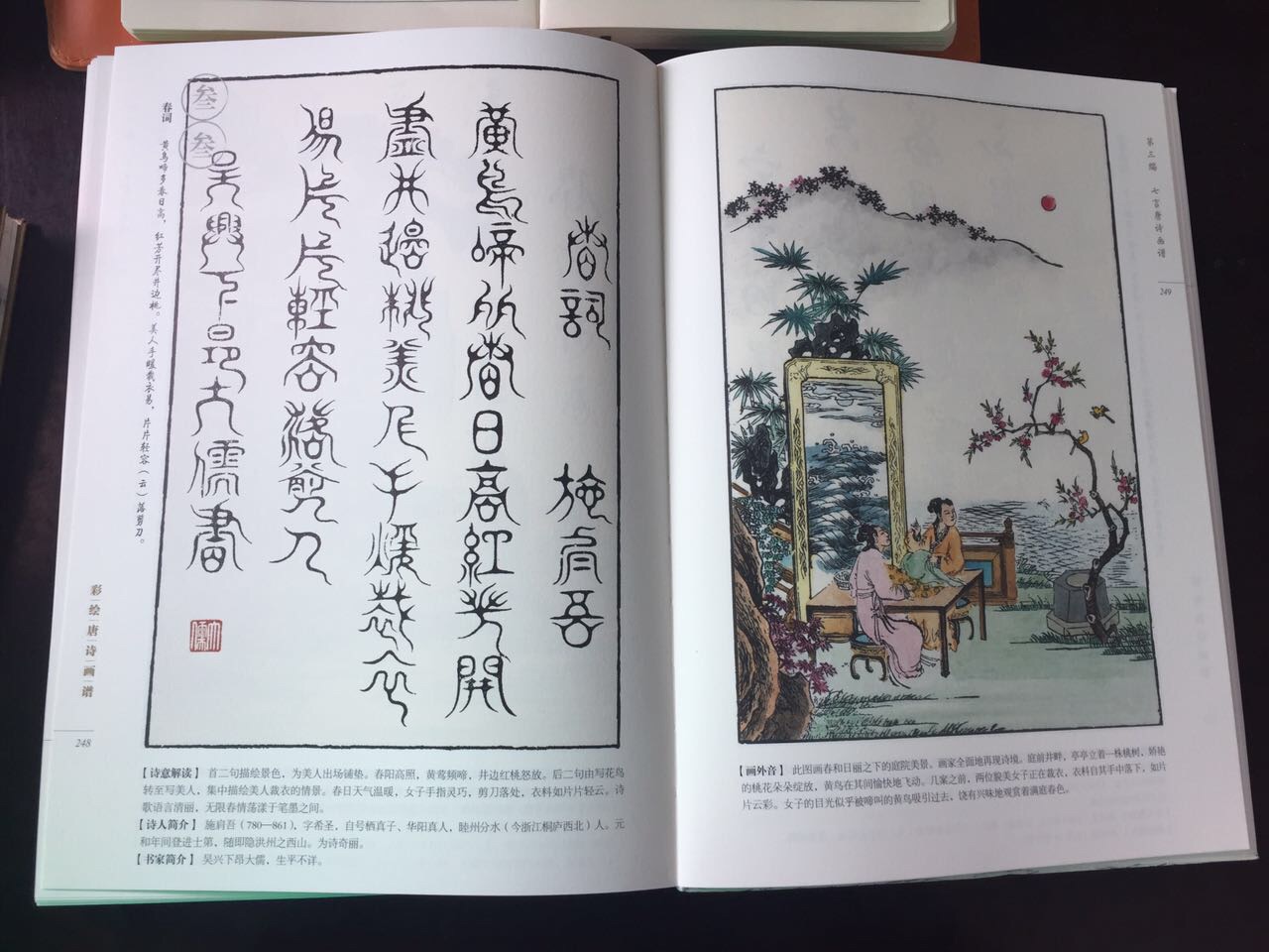 彩画比较有吸引力，但赠品是没有的，不要受广告误导