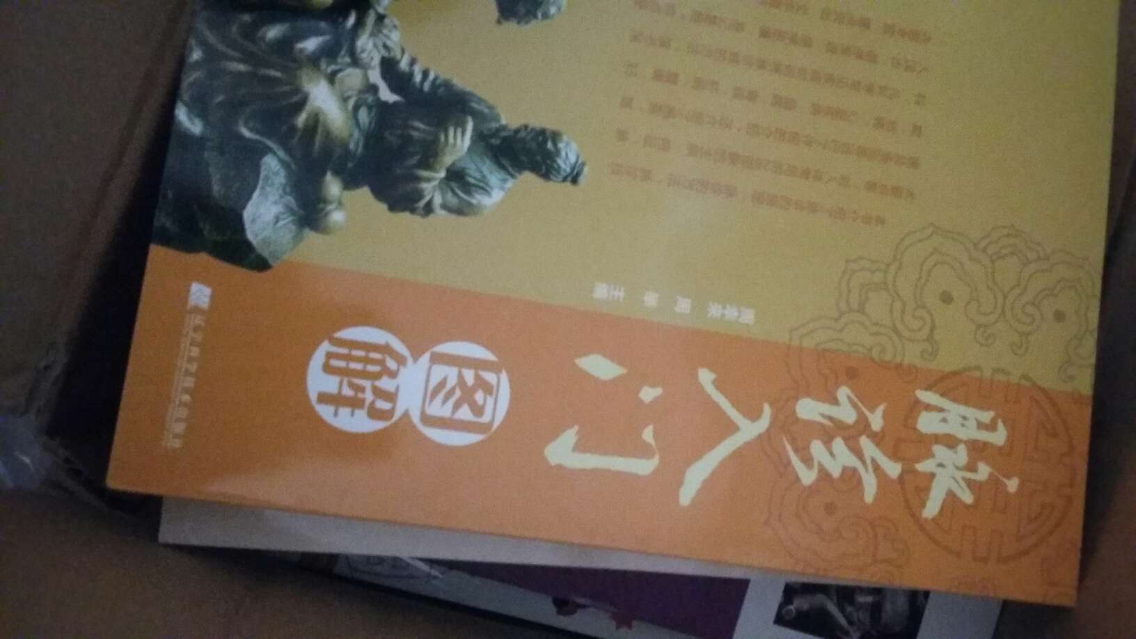 又搞活动啦，又买了一堆啦，我爸问这是想开图书馆吗？