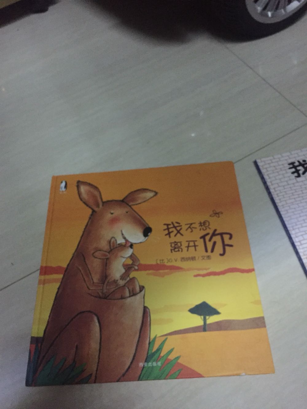 感谢快递小哥，儿子很喜欢回来就让我讲
