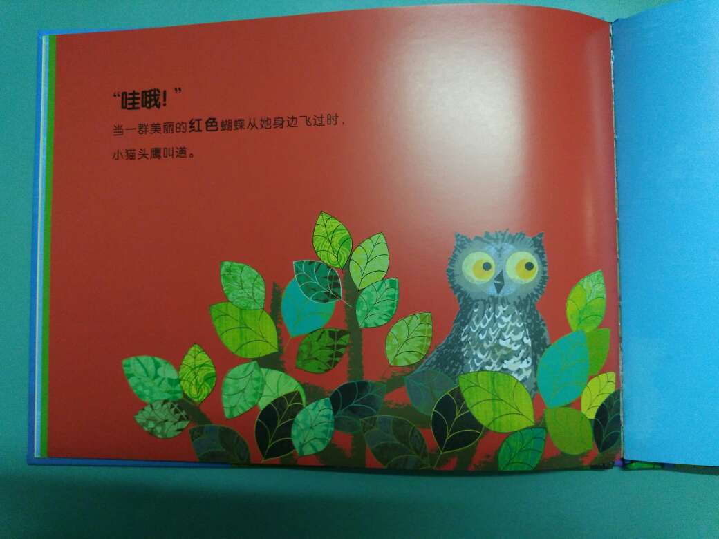很棒的一本绘本，适合亲子阅读，小猫头鹰的哇哦，表达出惊喜的语气，而且书中把各种颜色串在一起，让孩子认识各种颜色！不仅适合亲子阅读，还有教育功能，真不错?