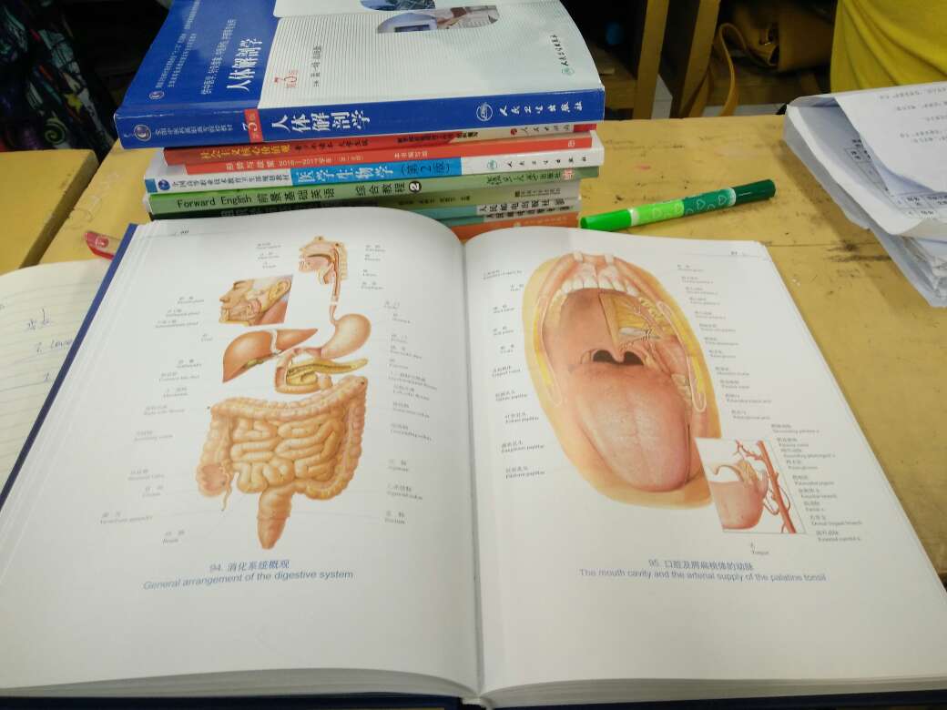 知识很全面，这样让我喜欢上了解剖学，因为很容易明白知识点，快递很快的哦！