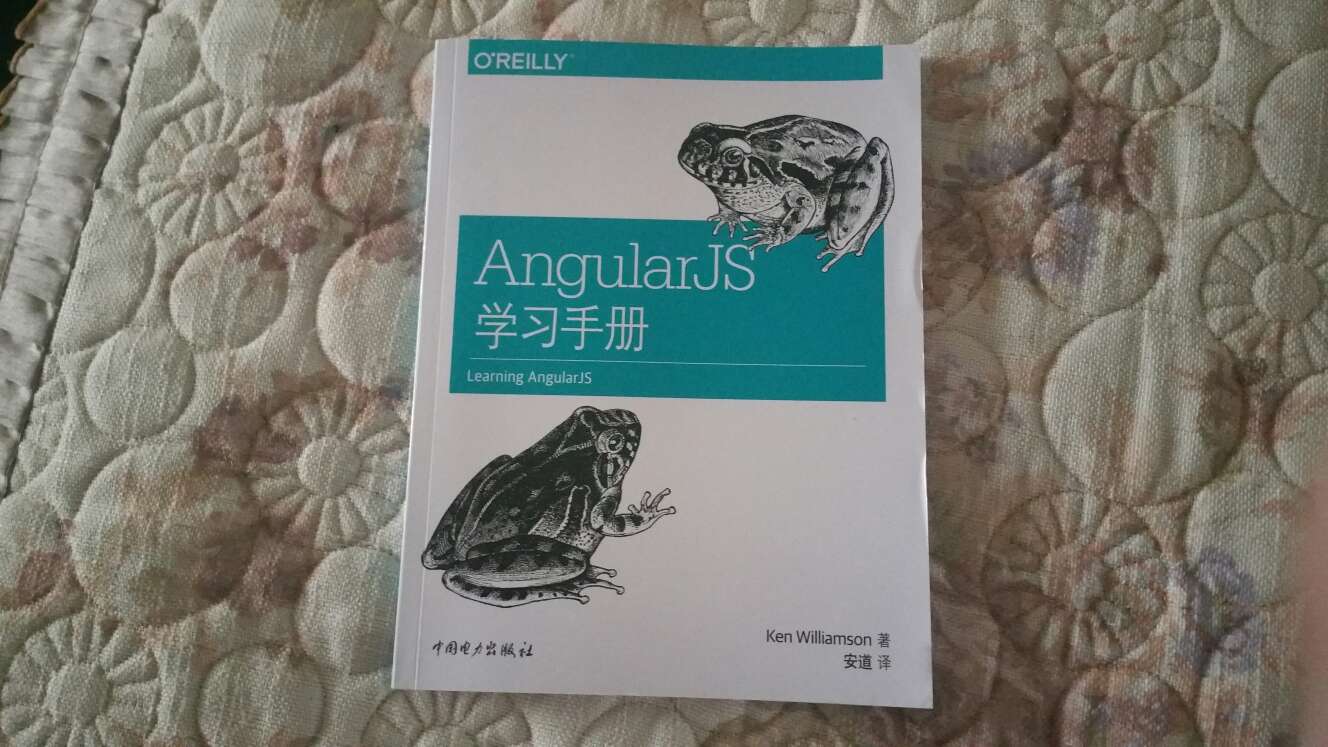 一本快速学习Angularjs的书，内容涵盖比较全面。简单易懂
