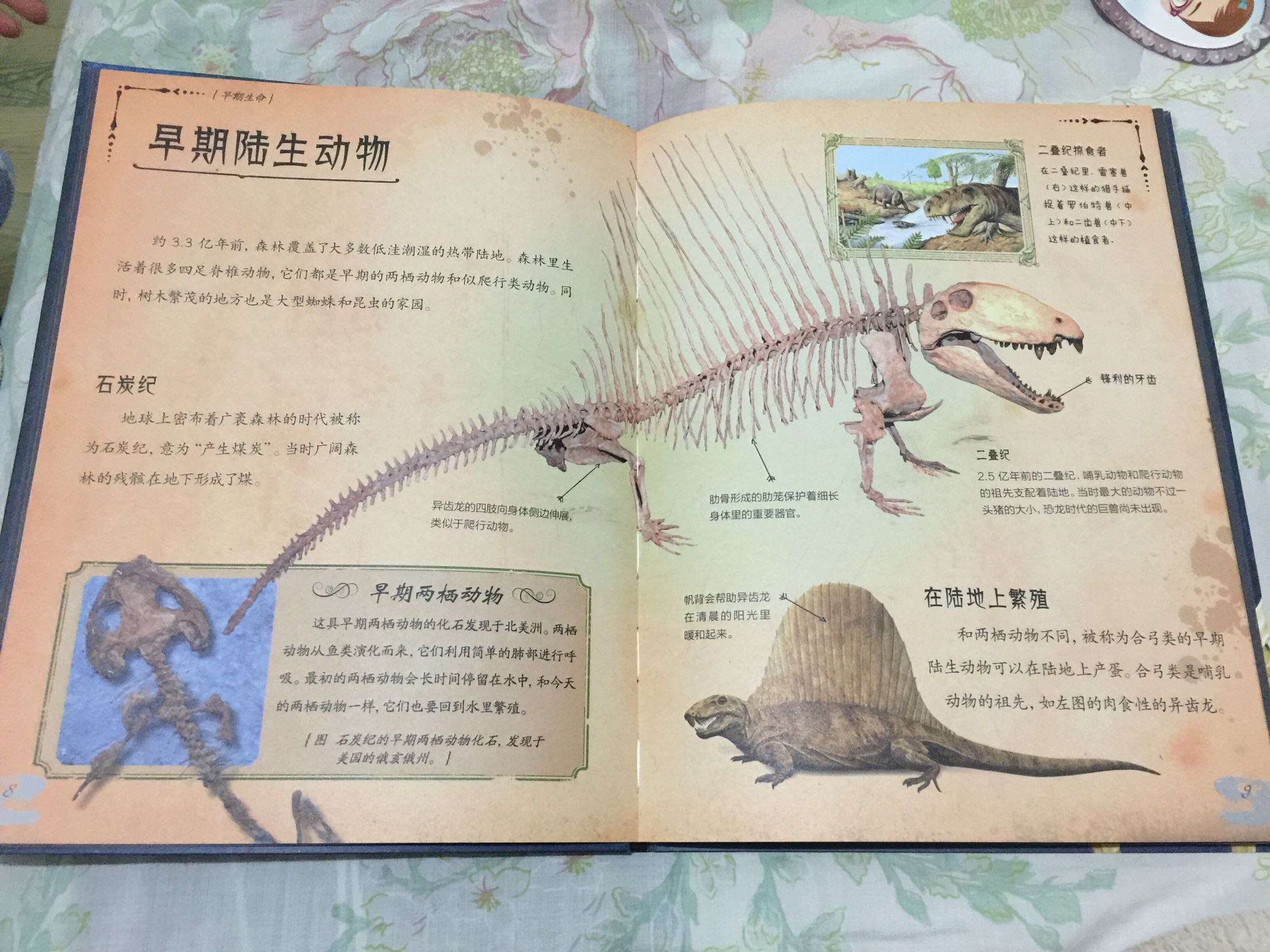这本书很好看，讲的知识很多，涉及的恐龙种类很多，小朋友自己能够看下来，不错