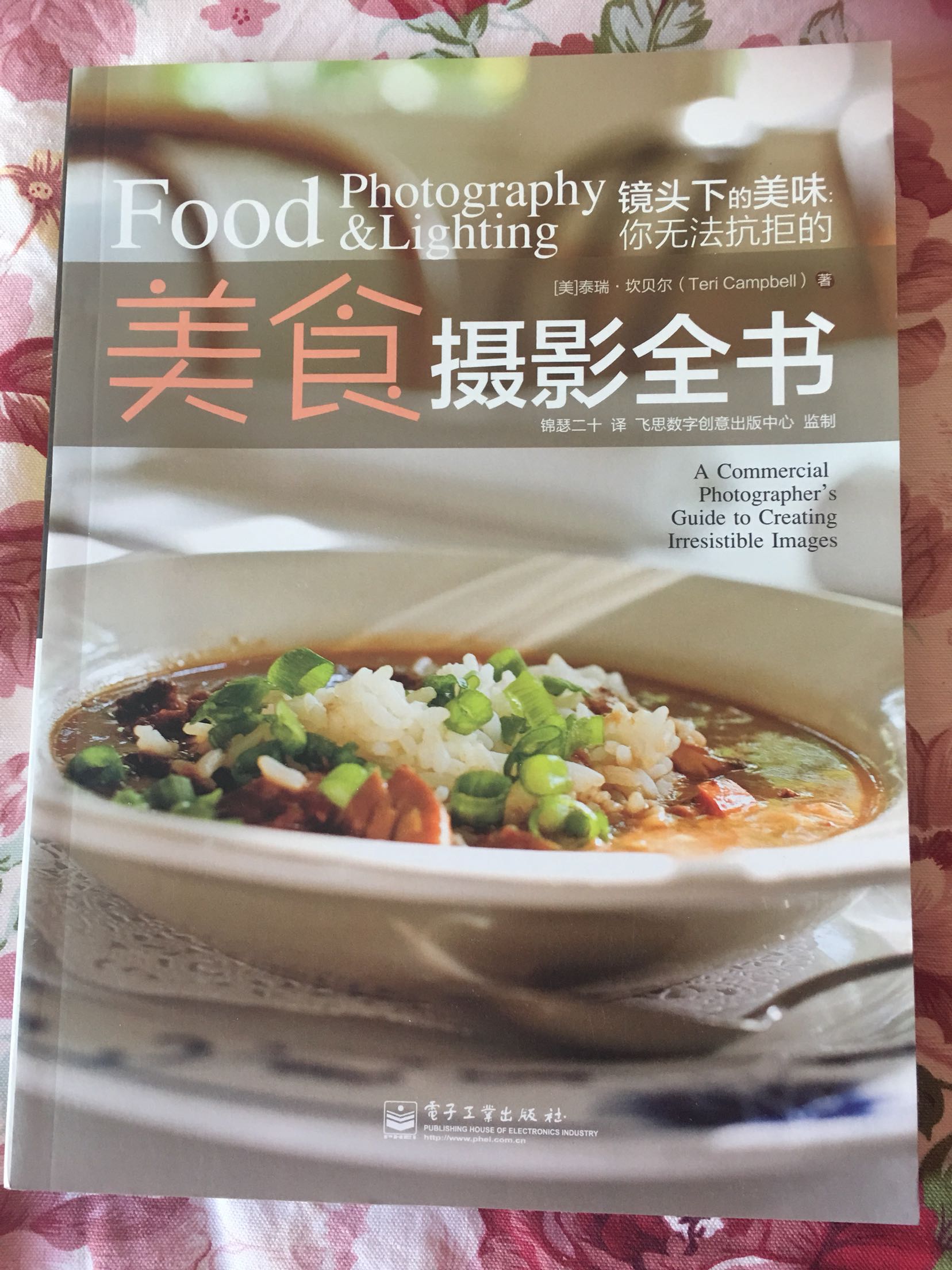专业美食摄影书